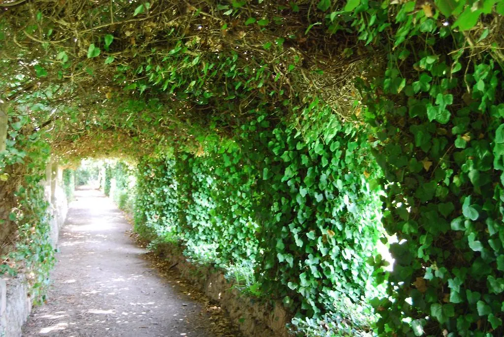 Venkovský dům Finca Son Vivot
