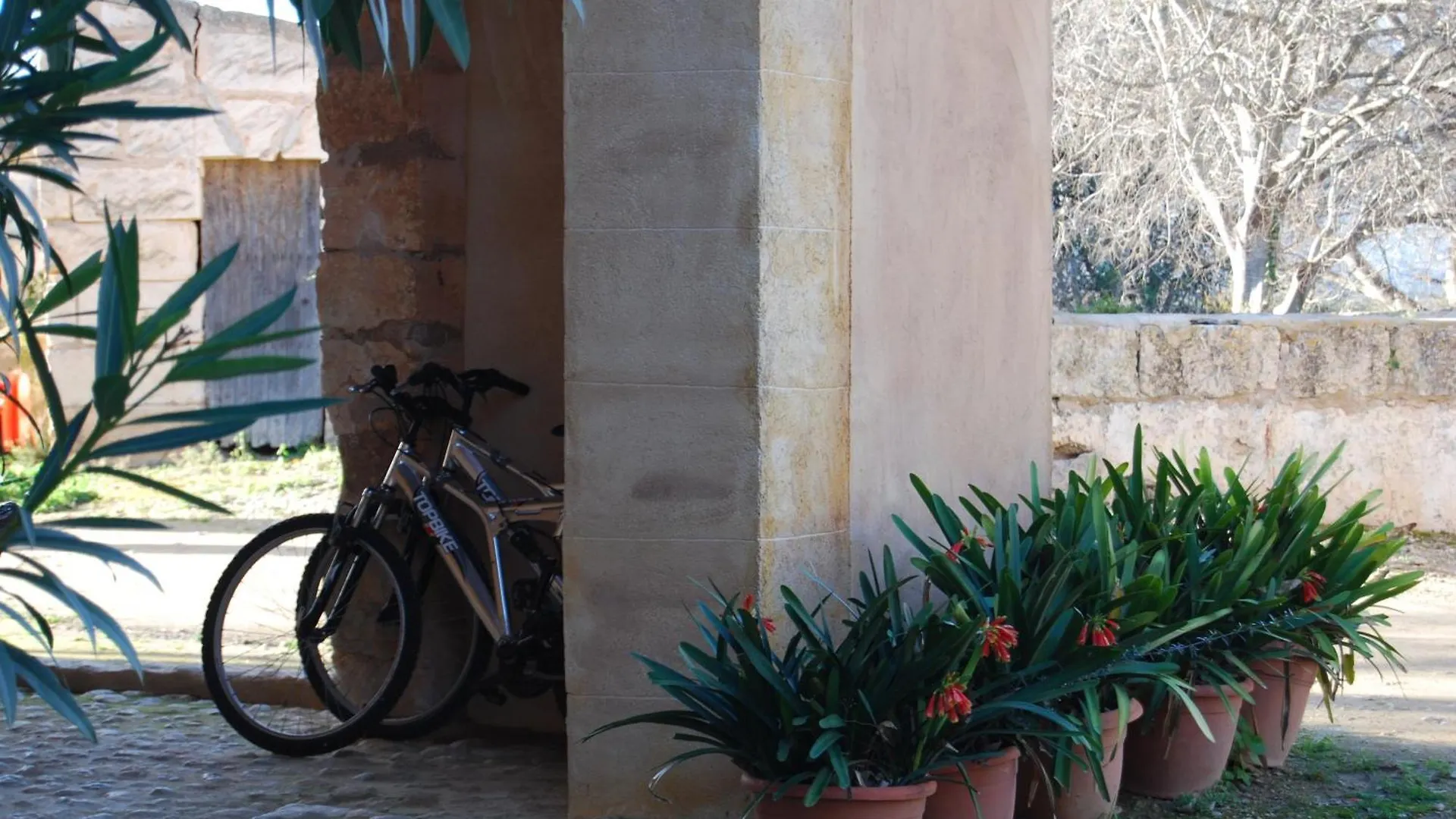 Venkovský dům Finca Son Vivot Španělsko