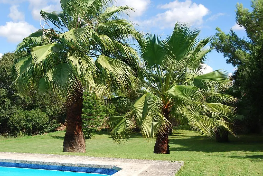 Finca Son Vivot 0*, Inca (Mallorca)